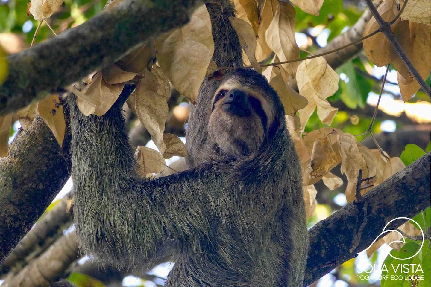 Sola Vista Eco Lodge - Casa Sol en Costa Rica