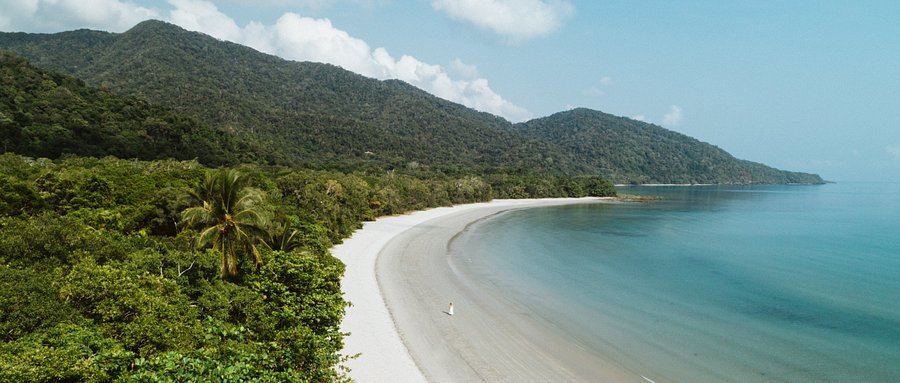 Daintree Forest