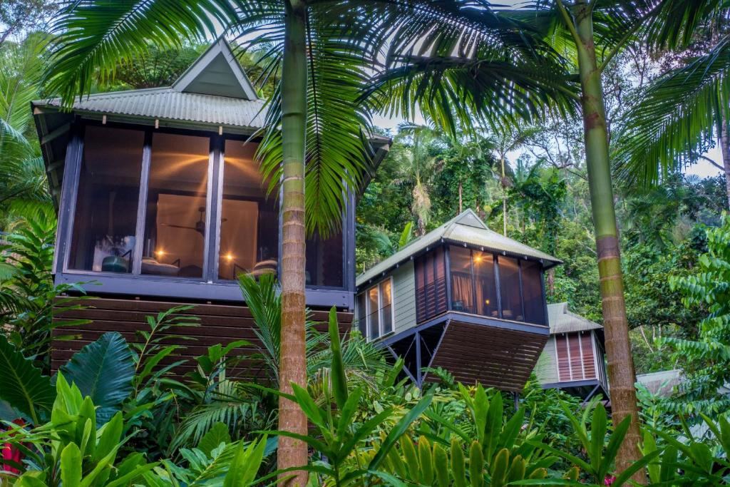 Daintree Forest