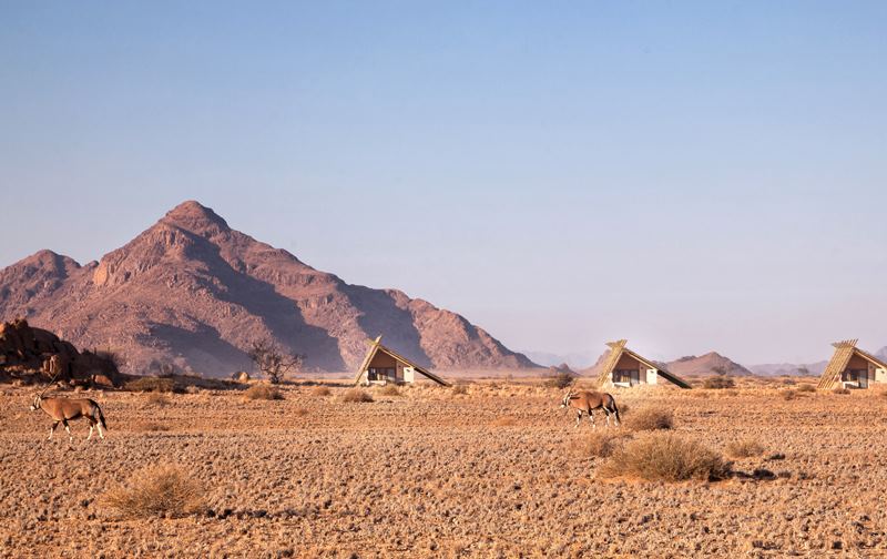 Desert Quiver Camp en Desierto del Namib