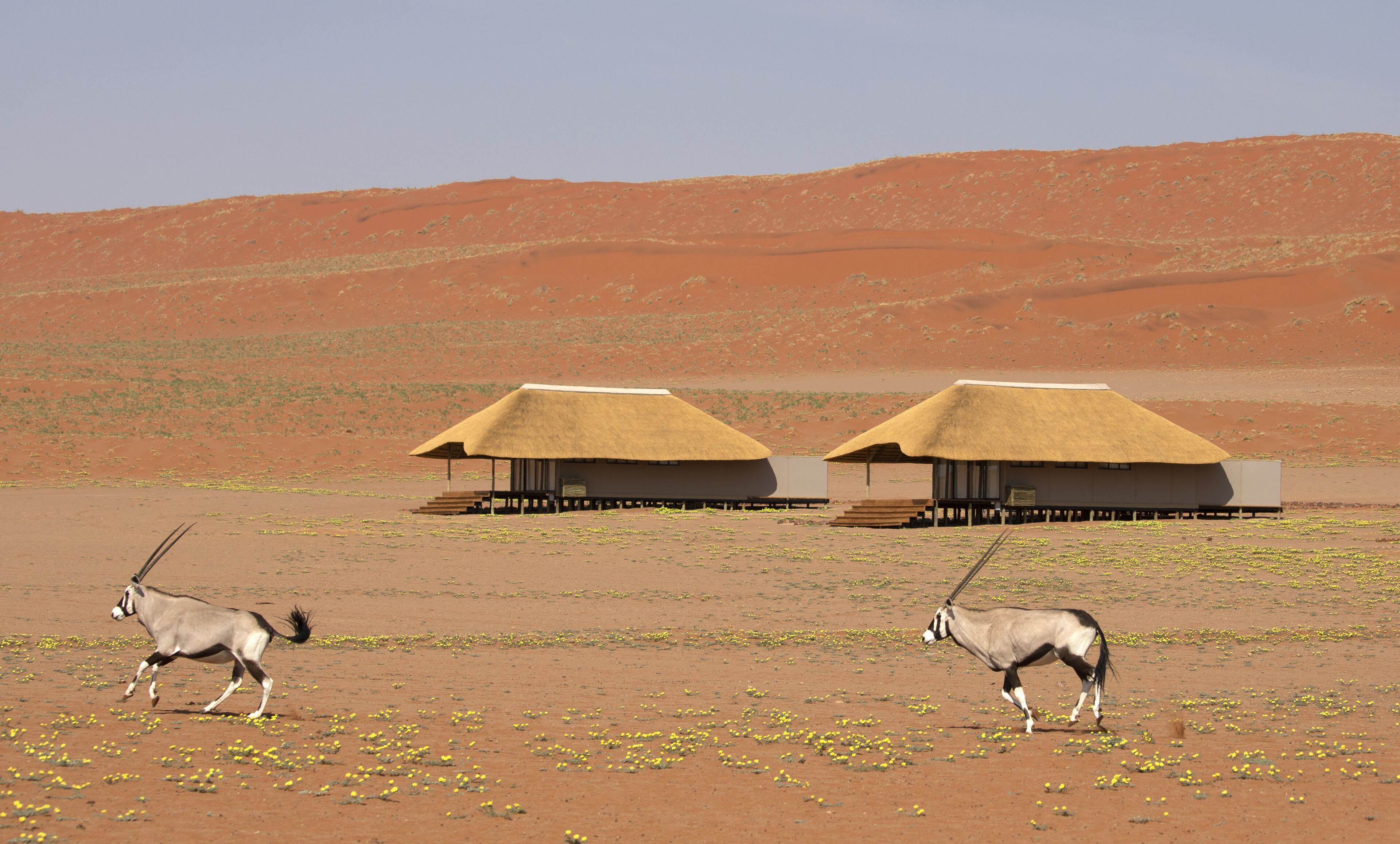 Kwessi Dunes en Desierto del Namib