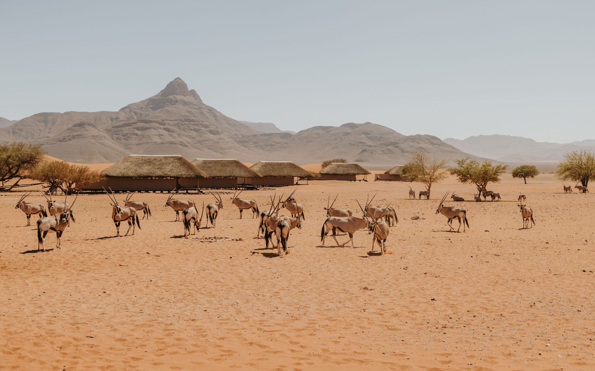 Kwessi Dunes en Desierto del Namib