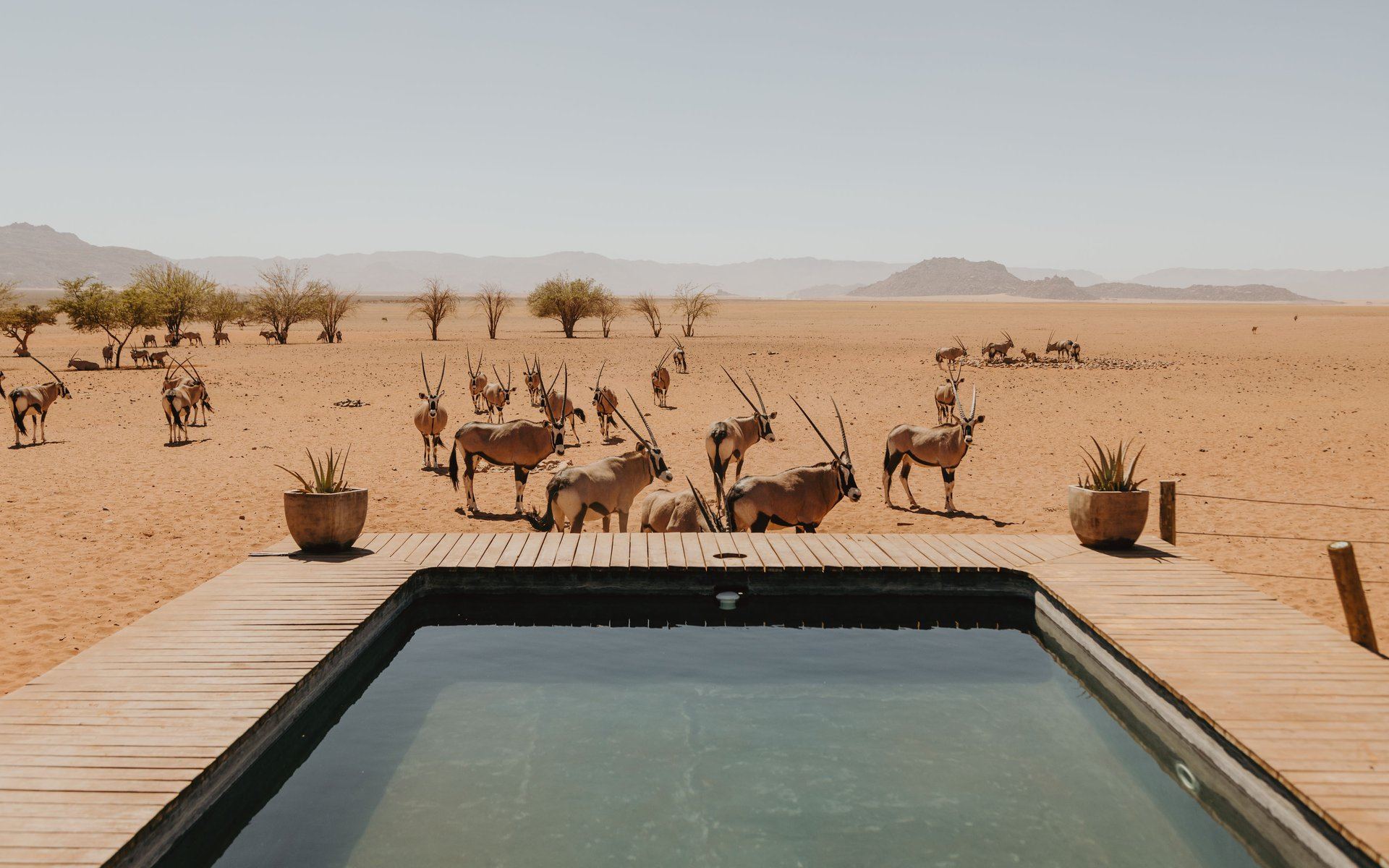 Kwessi Dunes en Desierto del Namib