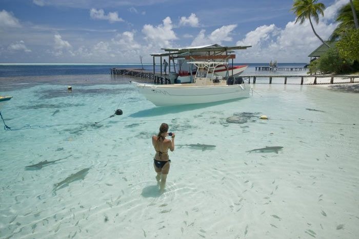 Pearl Havaiki Lodge en Fakarava