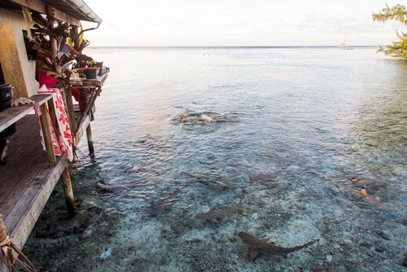 Tetamanu Village en Fakarava