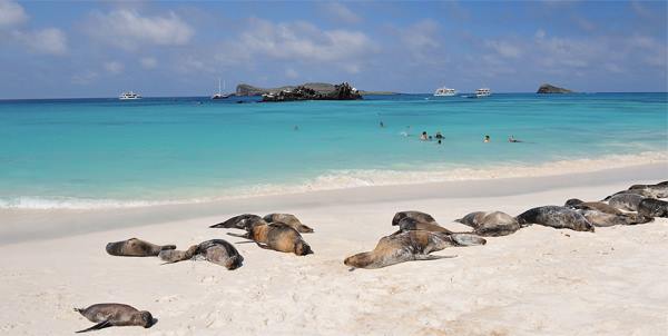 Pikaia Lodge en Islas Galapagos