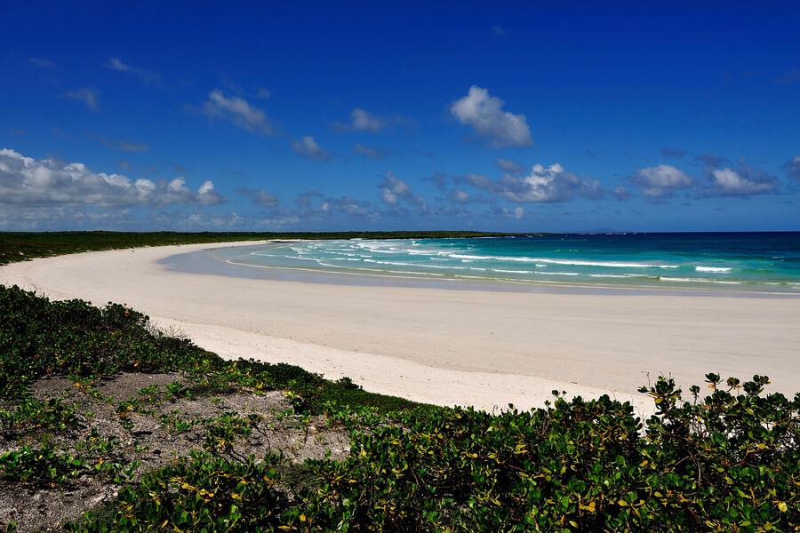Pikaia Lodge en Islas Galapagos