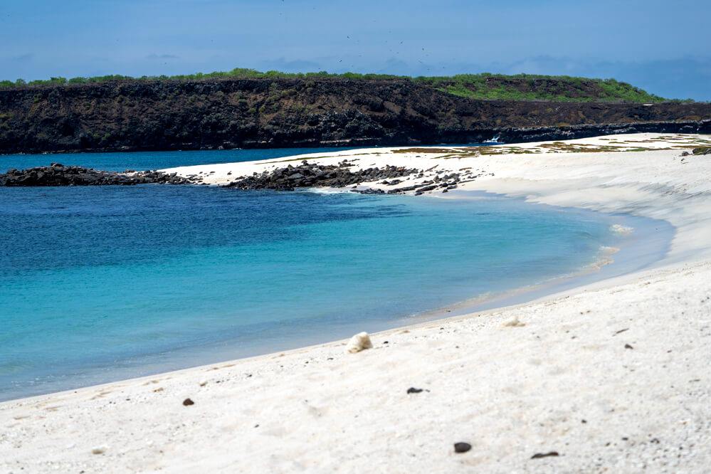 Pikaia Lodge en Islas Galapagos