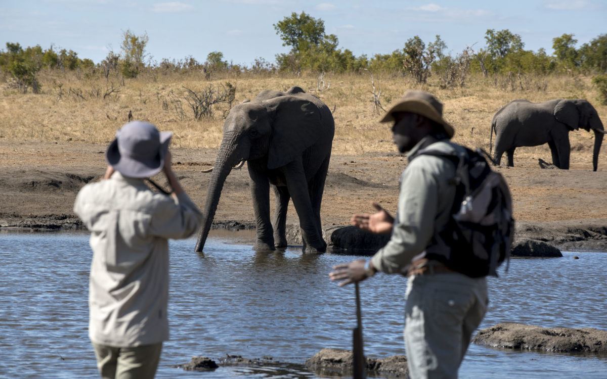 Somalisa Expeditions en Hwange