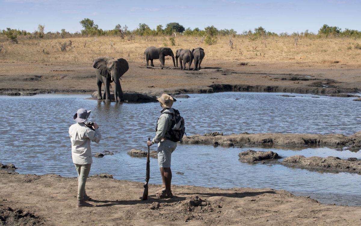 Somalisa Expeditions en Hwange