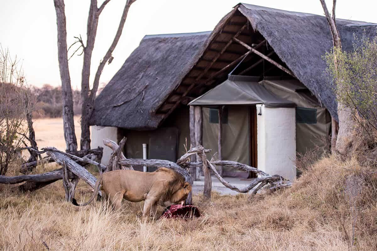 The Hide en Hwange