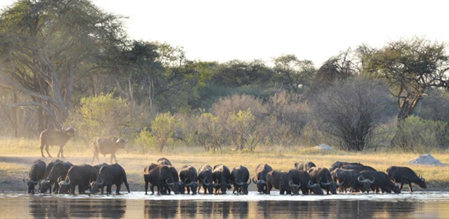 The Hide en Hwange