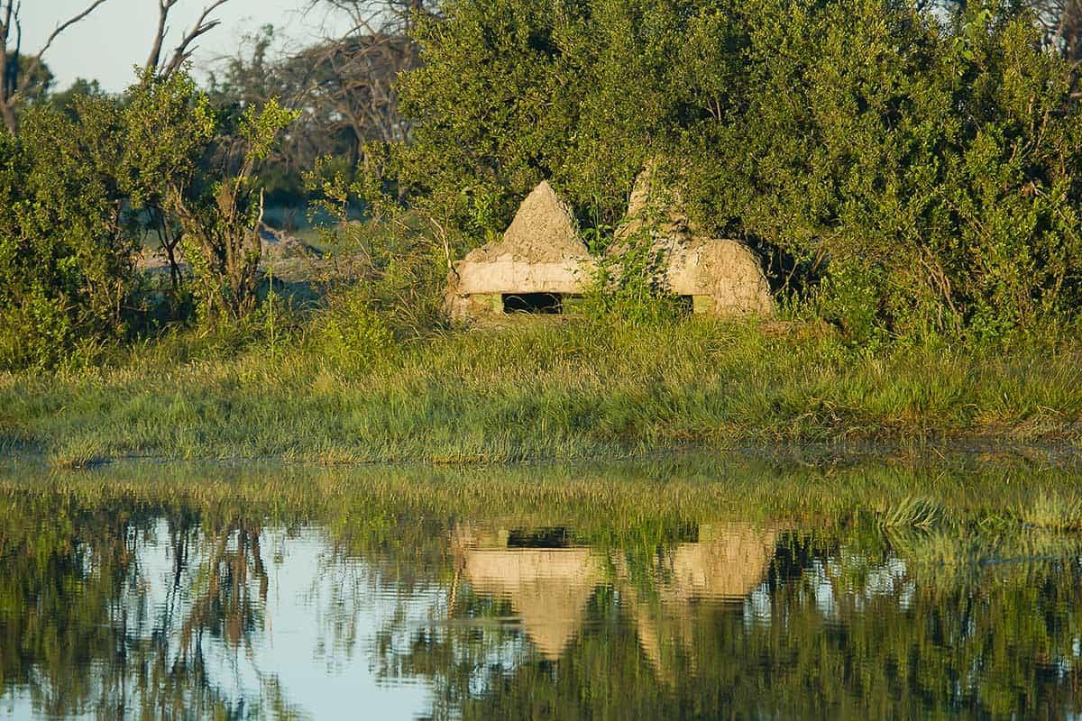 The Hide en Hwange
