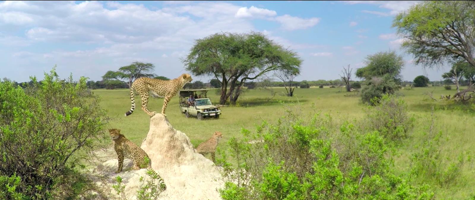 The Hide en Hwange