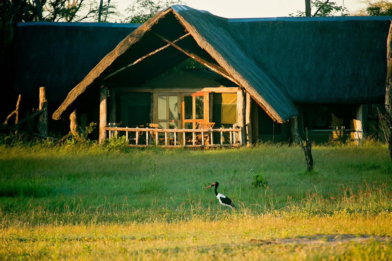 The Hide en Hwange