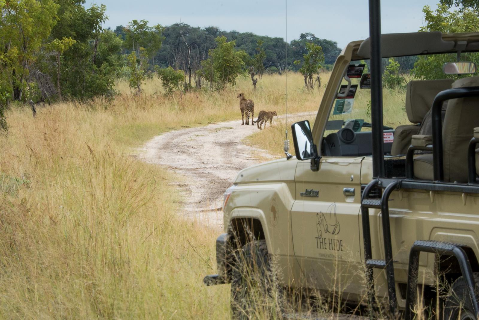 The Hide en Hwange