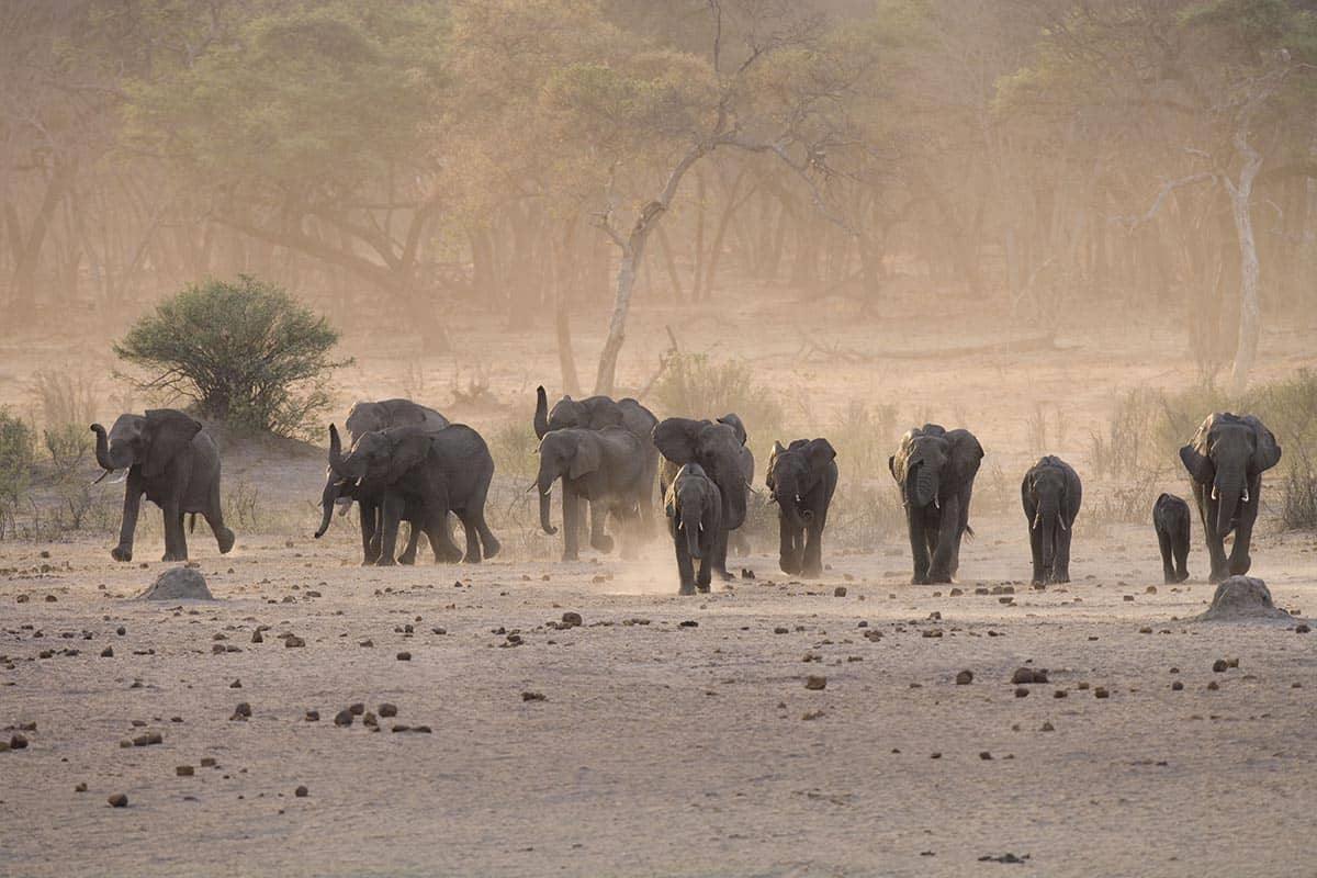 The Hide en Hwange