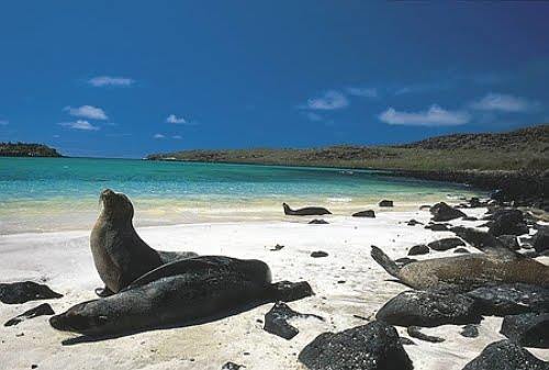 Isla de Baltra | LAT.40