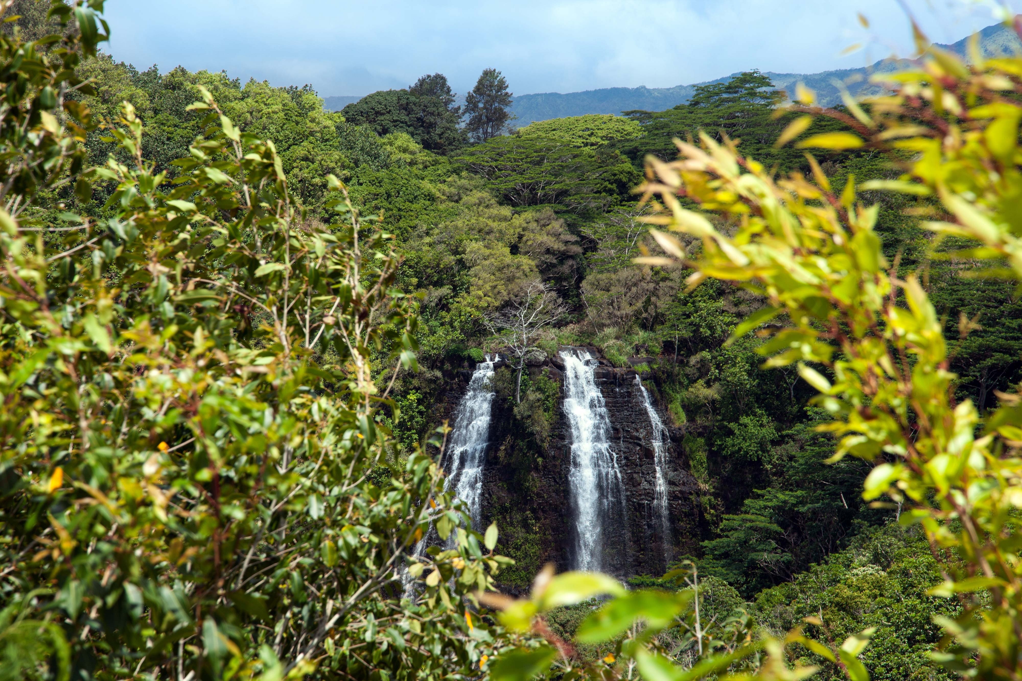 Imagen de viaje LAT.40