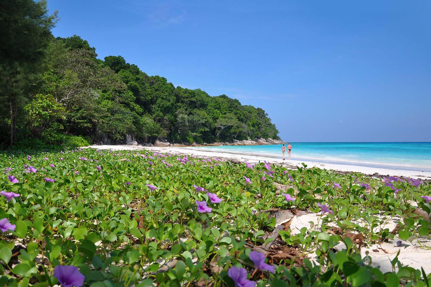 The Sarojin en Khao Lak