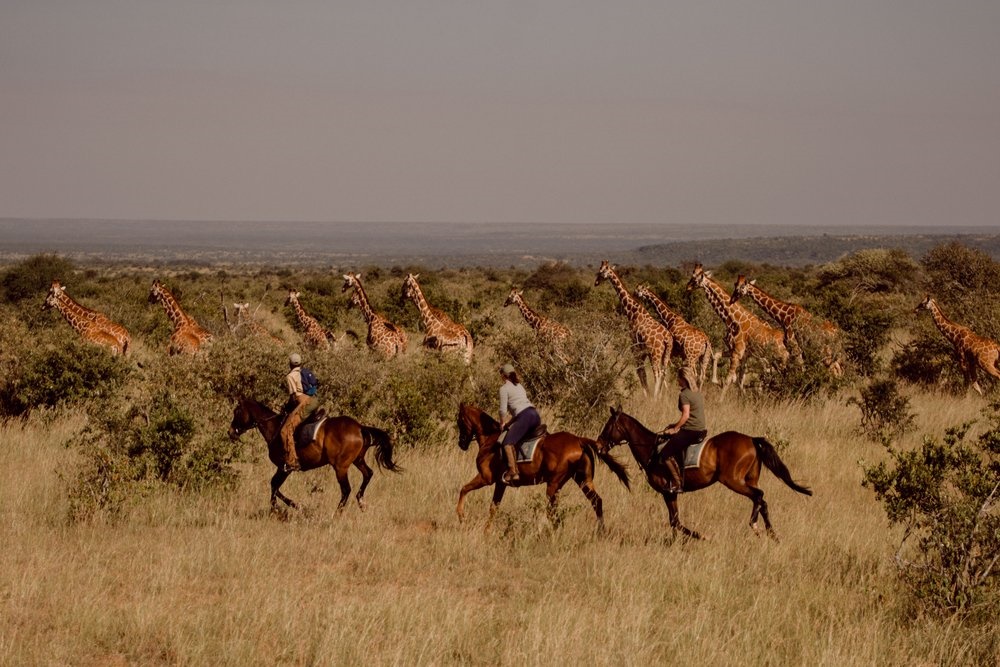 Offbeat Sosian Lodge en su destino