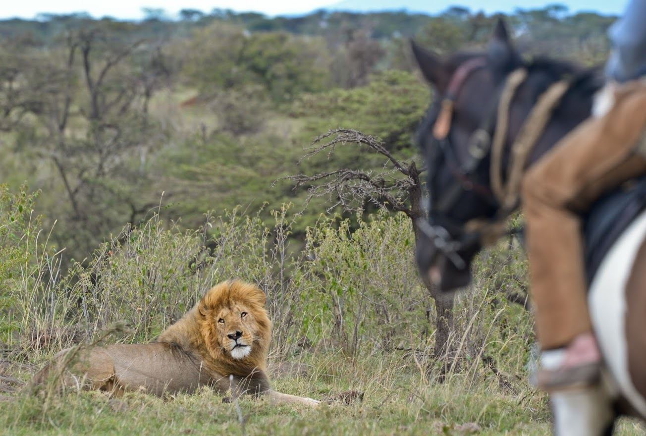 Laikipia