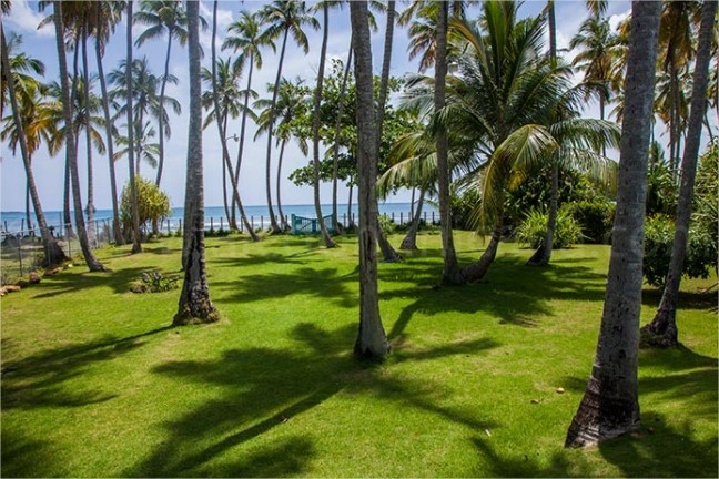 Villa privada en primera línea de playa en Las Terrenas