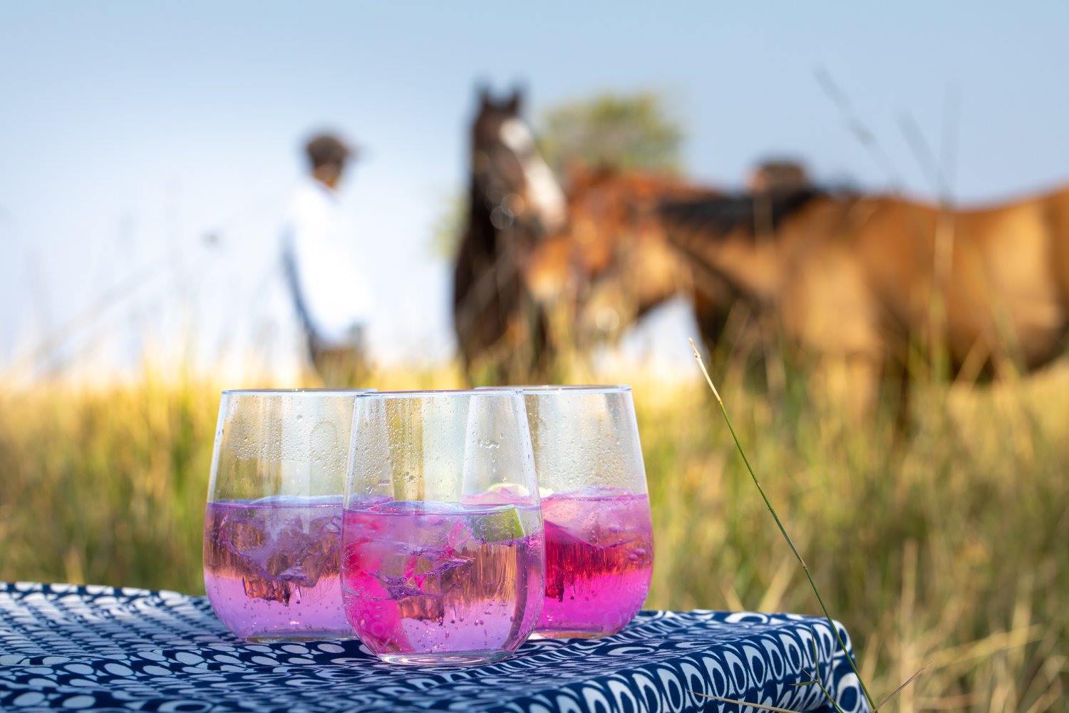 Chundukwa River Lodge en Livingstone