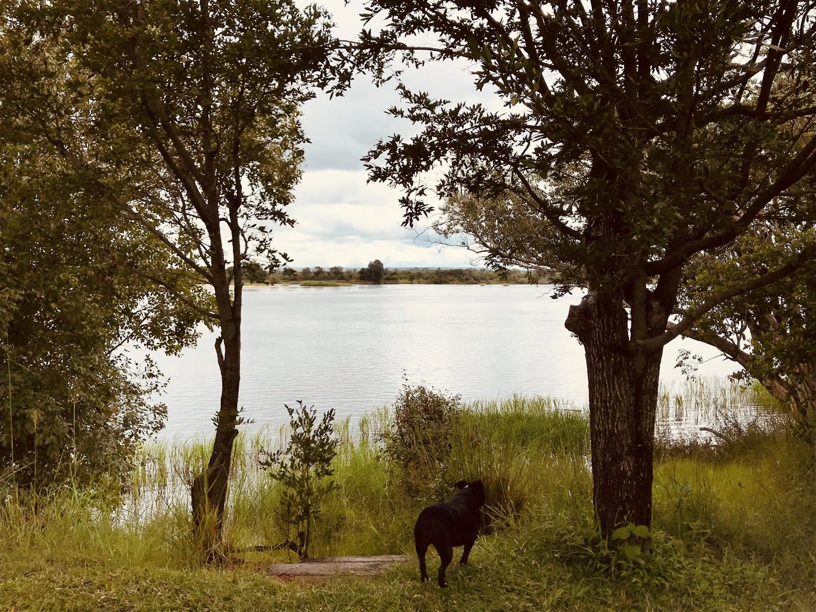Chundukwa River Lodge en Livingstone