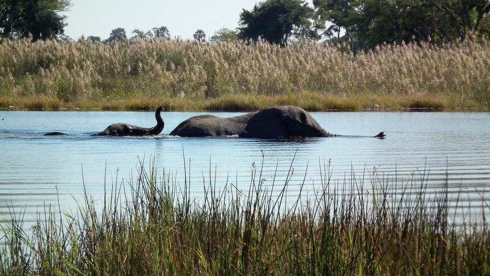 Chundukwa River Lodge en Livingstone