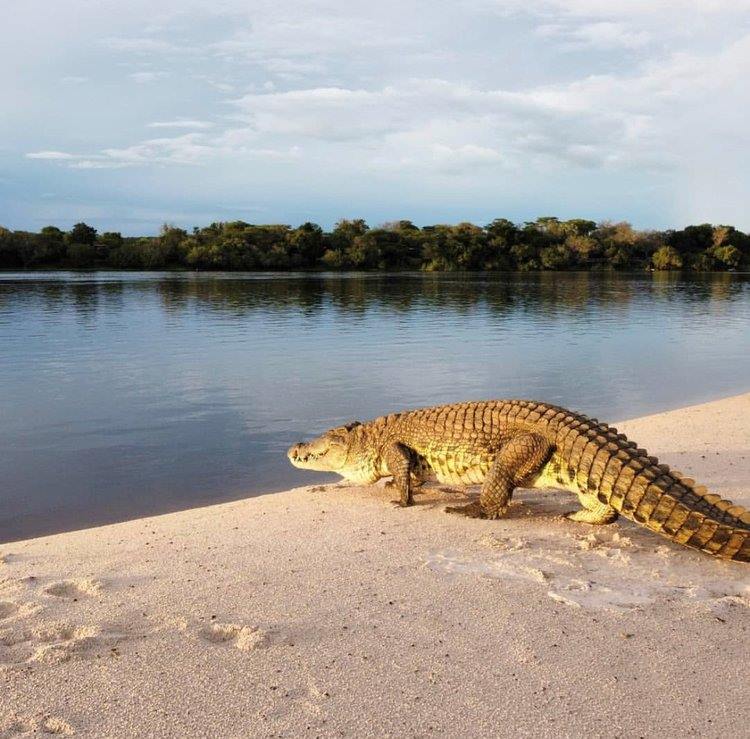 Chundukwa River Lodge en Livingstone