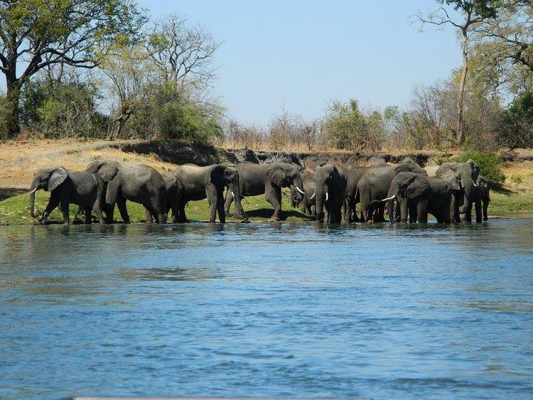 Chundukwa River Lodge en Livingstone