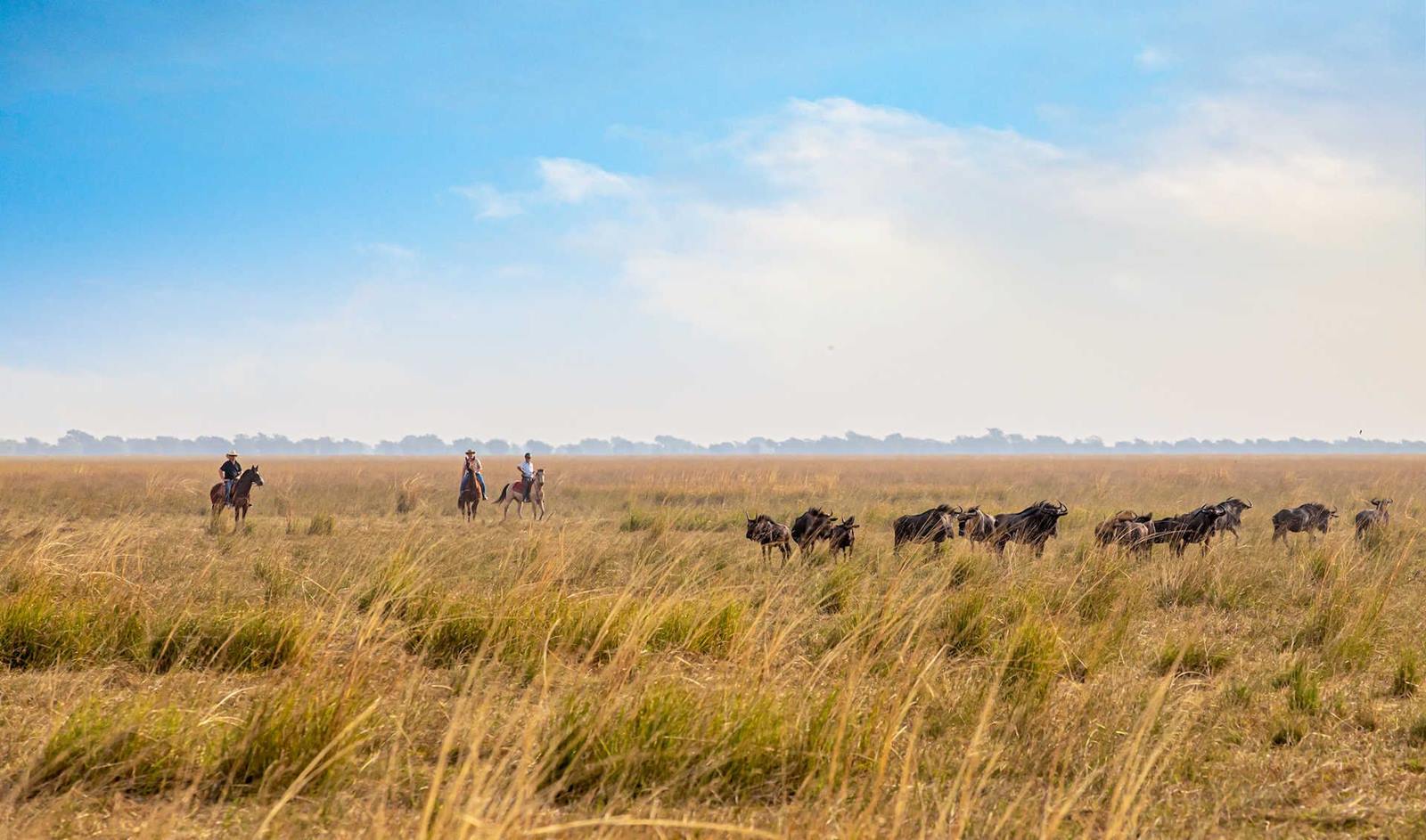 Chundukwa River Lodge en Livingstone