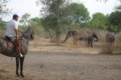Chundukwa River Lodge en Livingstone