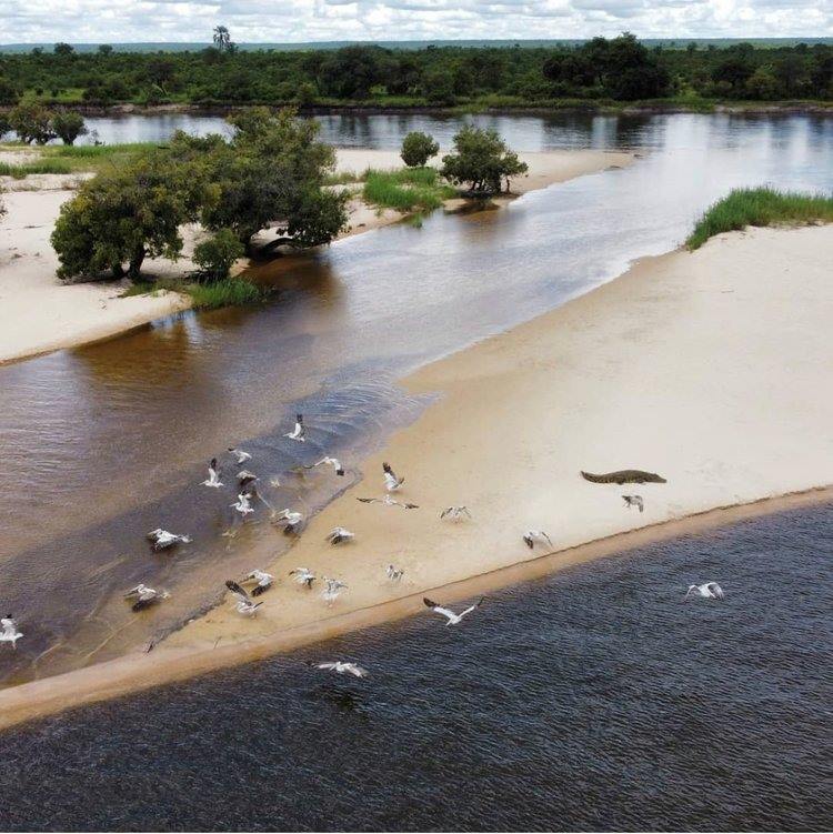 Chundukwa River Lodge en Livingstone