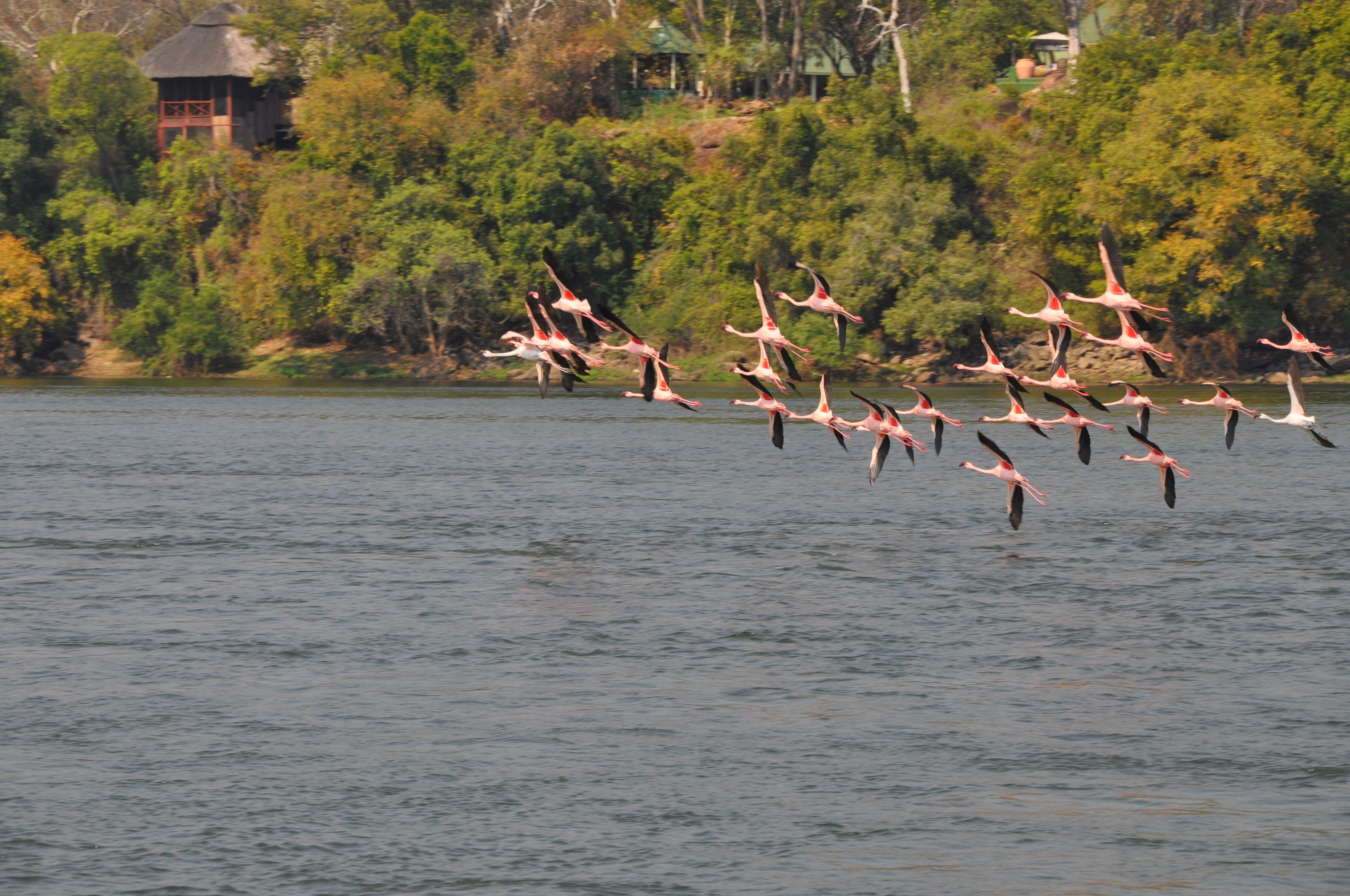 The River Club en Livingstone