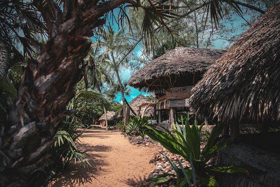 Che Sale en Kenia