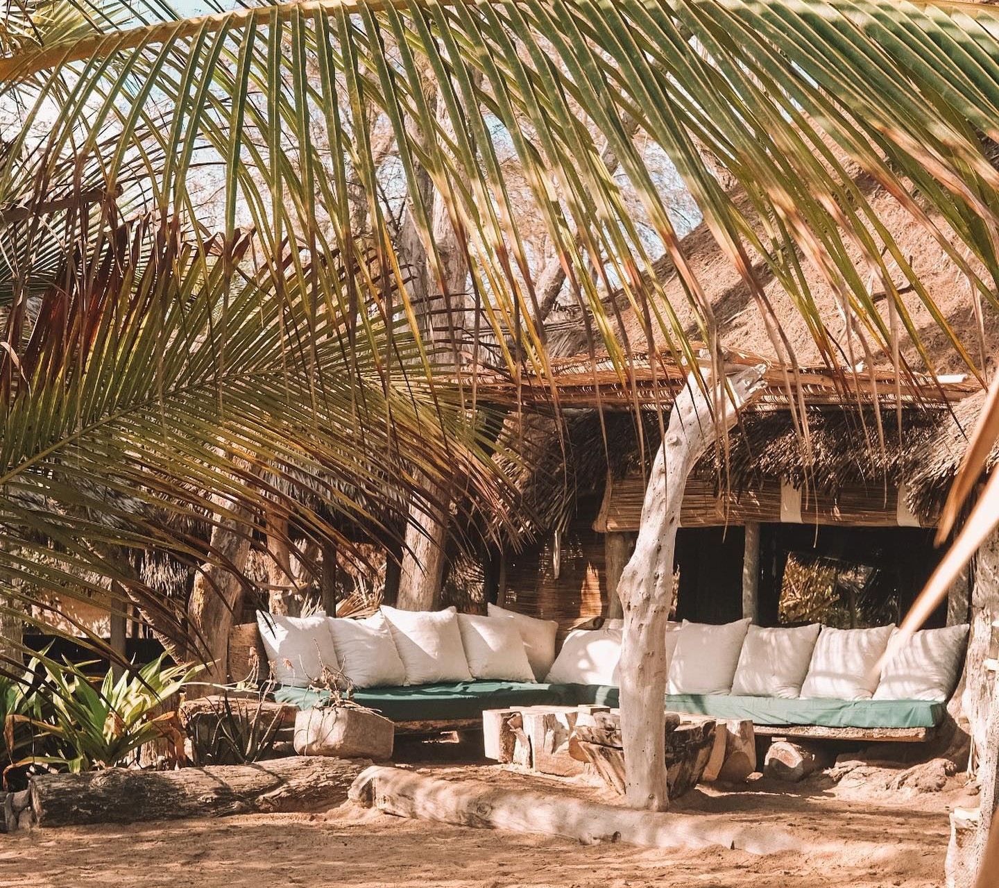Che Sale en Kenia