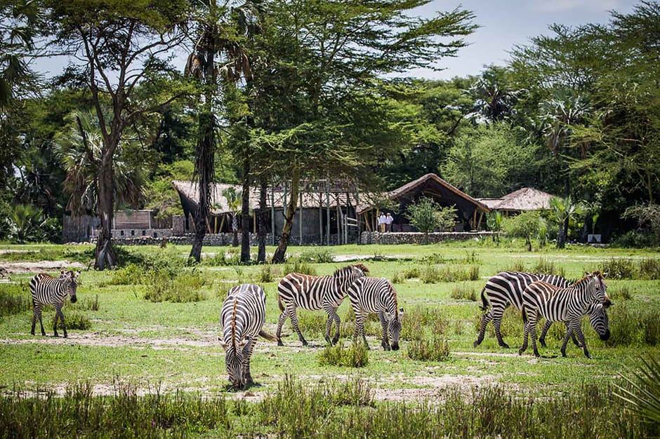 Chem Chem Lodge en Manyara