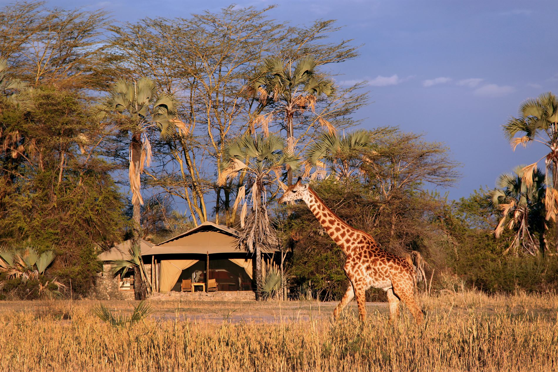 Chem Chem Lodge en Manyara