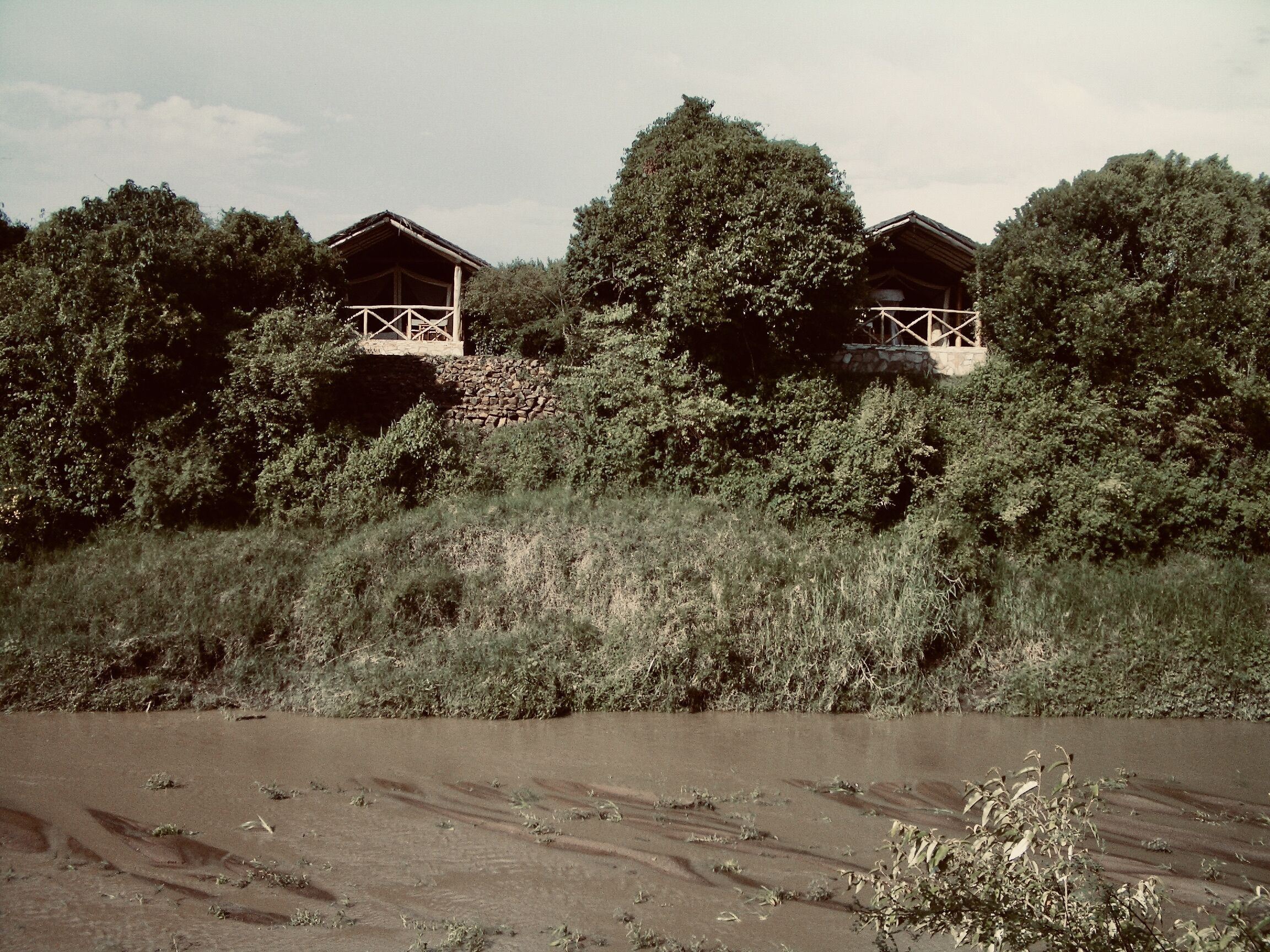 Fig Tree Camp en Masai Mara