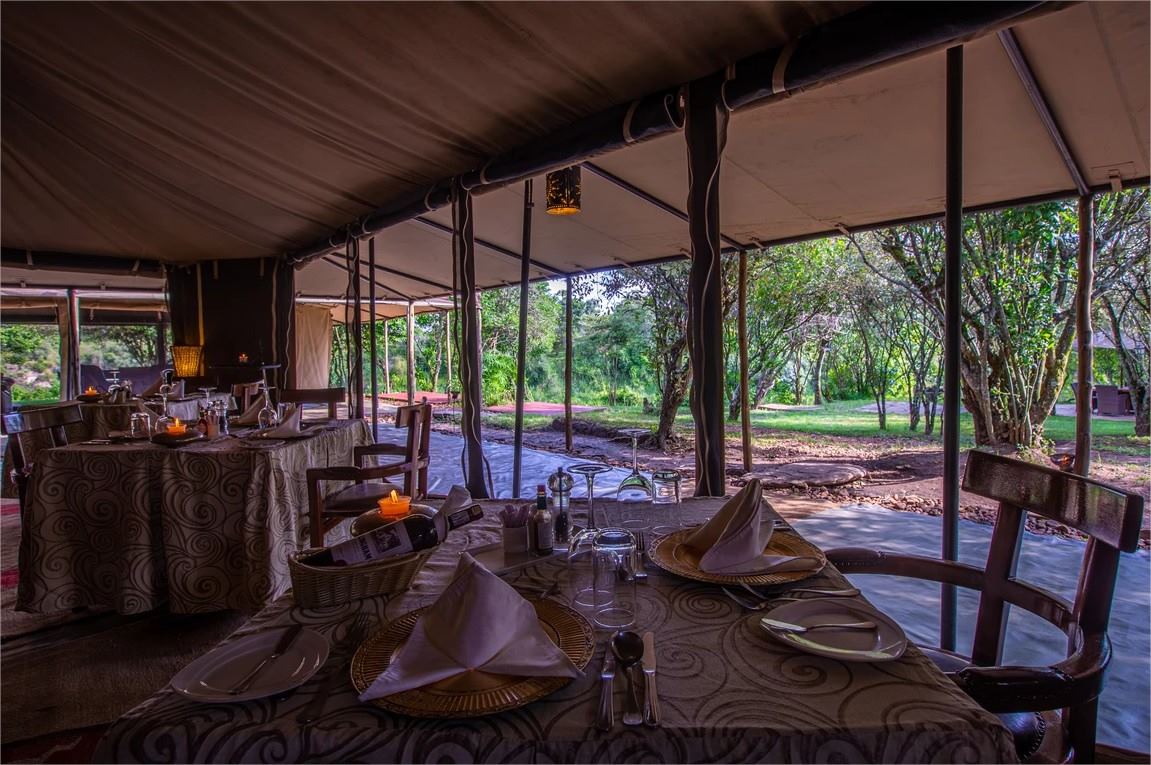 Mara Ngenche Safari Camp en Masai Mara