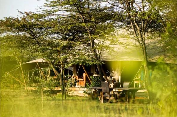 Mara Expedition Camp en Masai Mara
