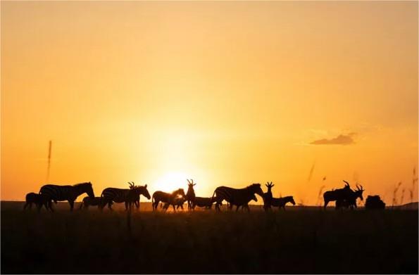 Mara Expedition Camp en Masai Mara