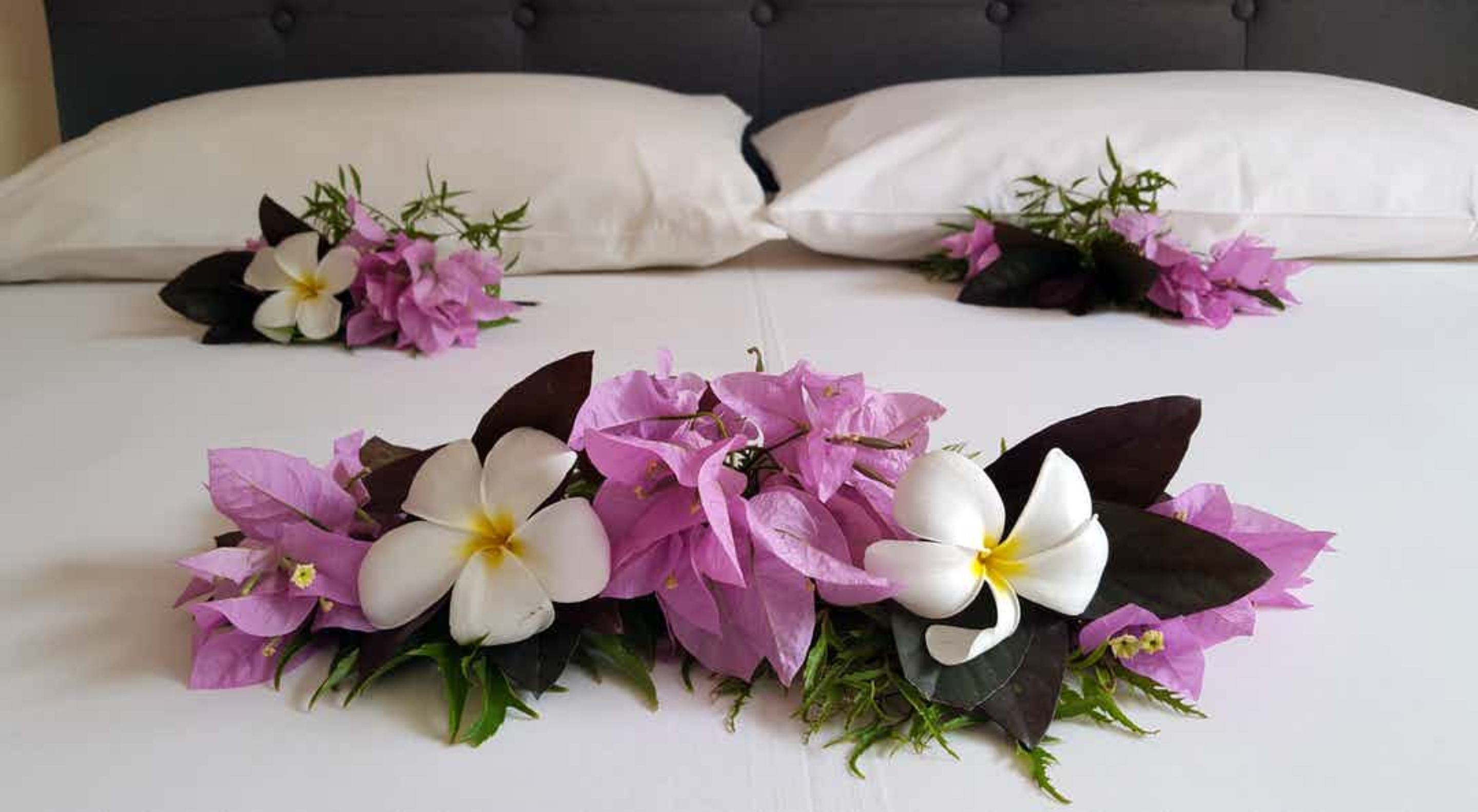 Hotel Hibiscus en Moorea