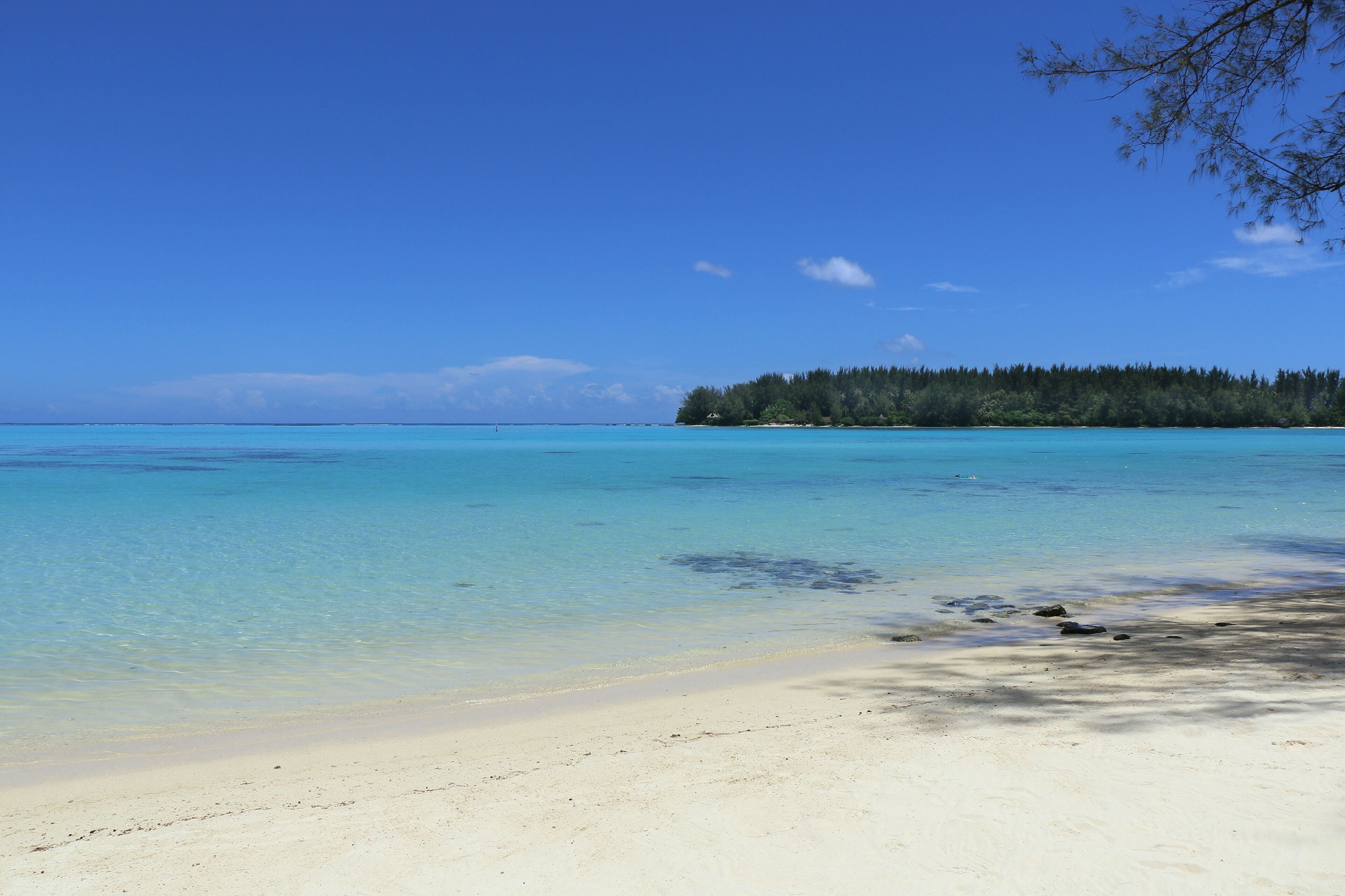 Hotel Hibiscus en Moorea
