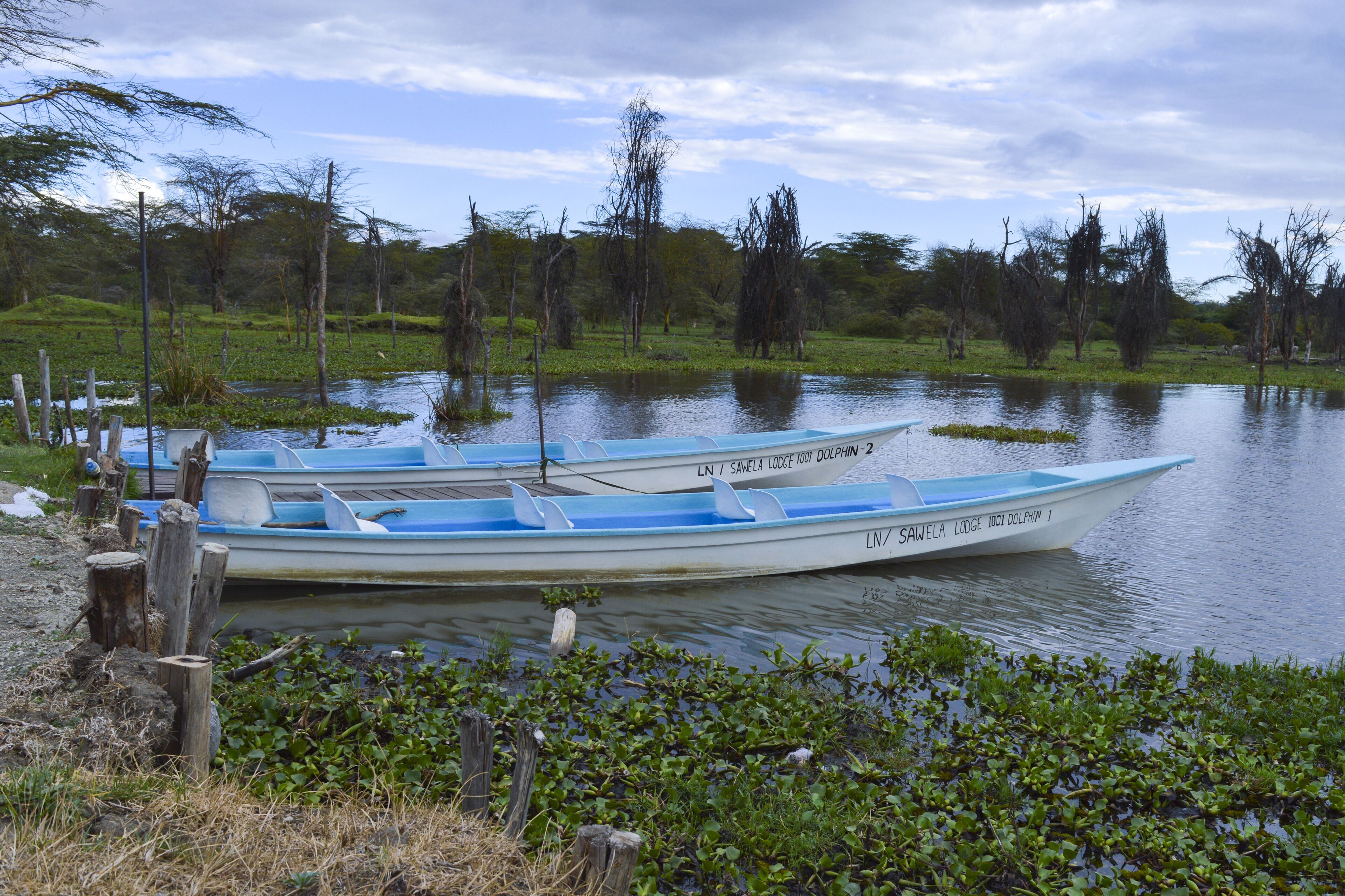Sawela Lodge en Naivasha