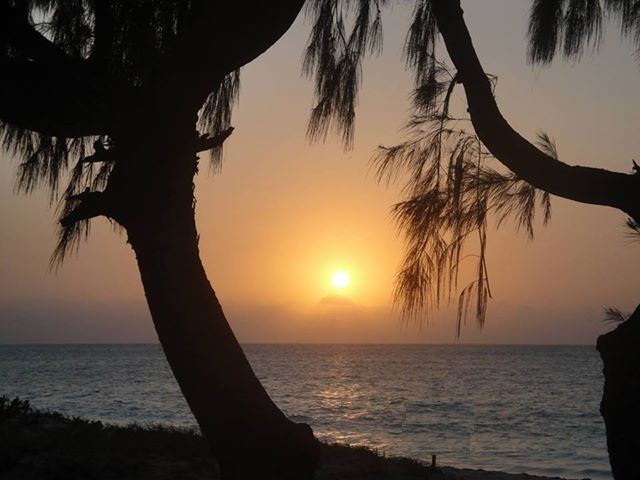 Chuiba Bay Lodge en Pemba