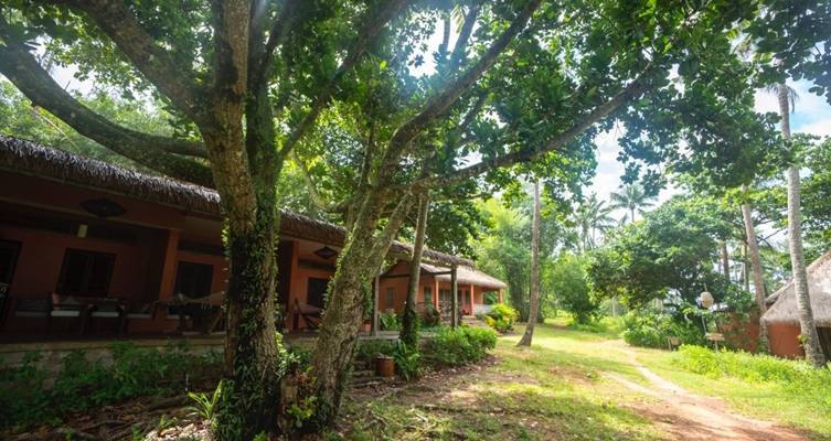 Mango Bay Resort en Phu Quoc