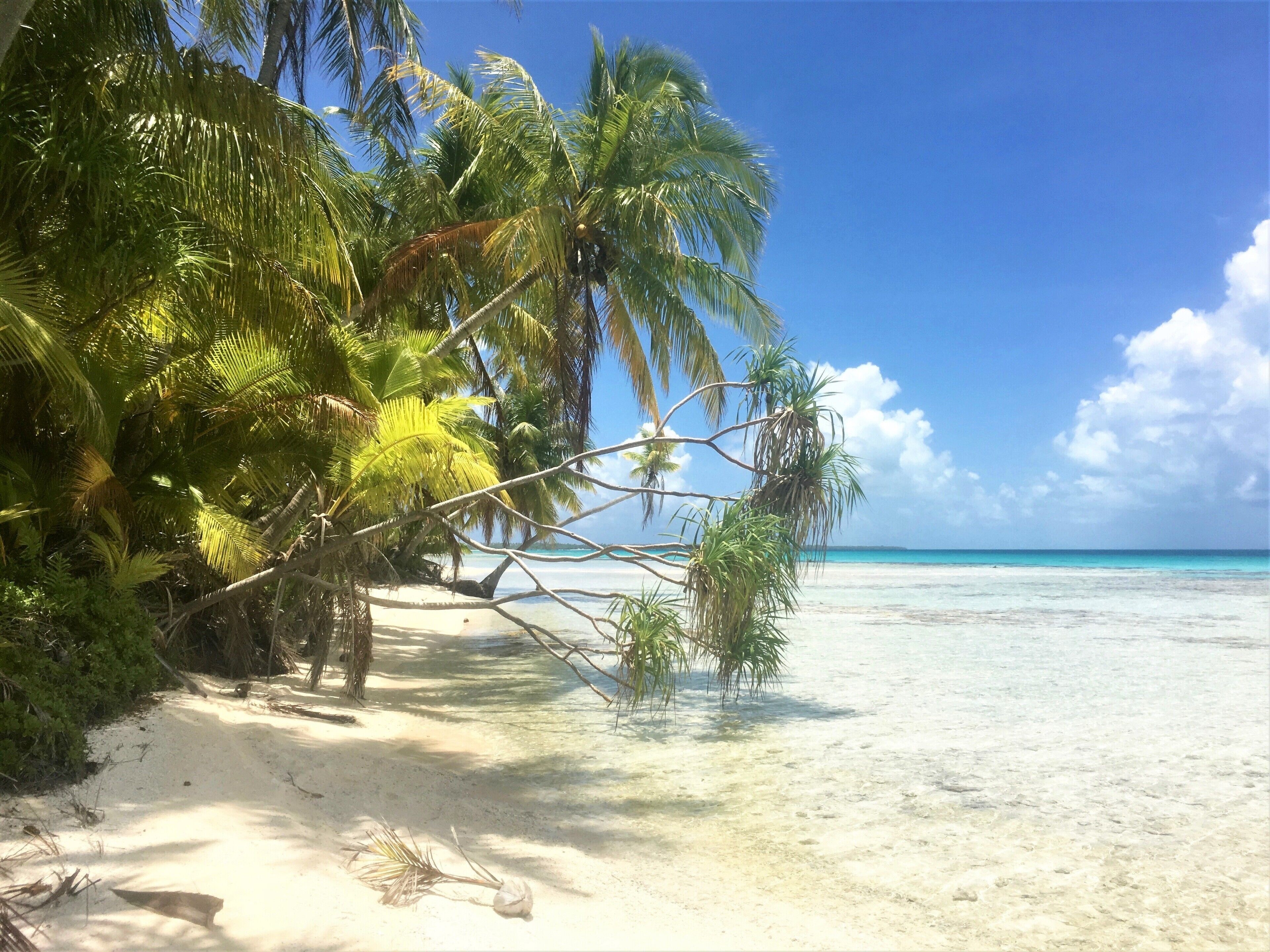 Le Maitai Rangiroa en Rangiroa